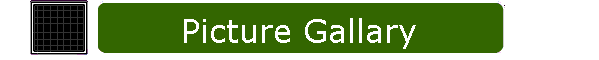 Picture Gallary